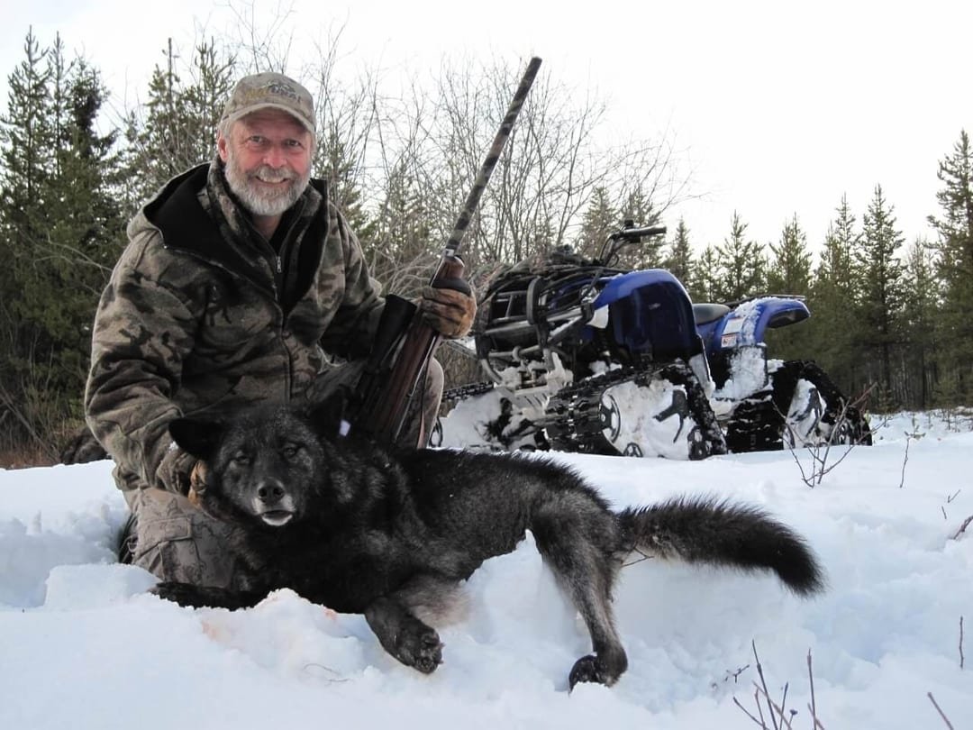 Hunter with a large trophy lynx from a winter hunt.